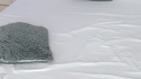 LUCY online show from 02-17-26, 08:37