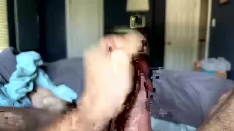 letmecumforyou71 online show from 09-20-25, 12:50