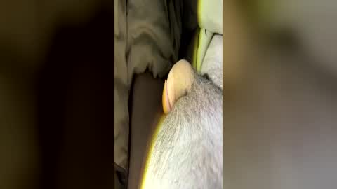 letsfucktn22 online show from 06-29-26, 07:25