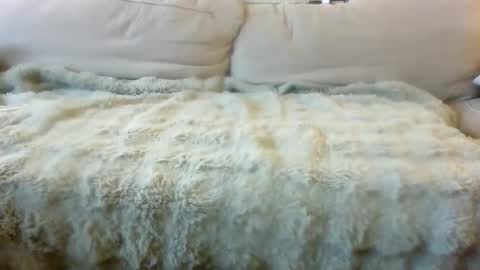 Bills Mafia online show from 04-24-26, 10:12