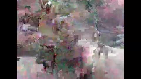 leweylewy online show from 11-13-25, 11:58