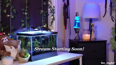 Snapshot of lex_taylor chatting on 02-21-25, 04:59 Lex online show from 02-21-25, 04:59