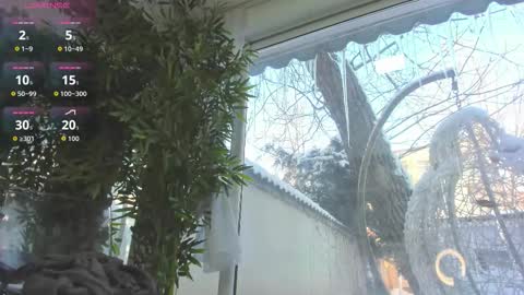 lexi_storm online show from 01-12-26, 07:46