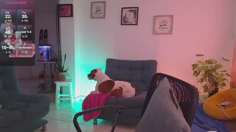 Snapshot of lexie_babe chatting on 12-16-24, 11:33 Lexie Thompson   8pm  0000am -5 online show from 12-16-24, 11:33