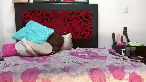 Snapshot of lexistone_ chatting on 05-27-26, 01:57 lexistone online show from 05-27-26, 01:57