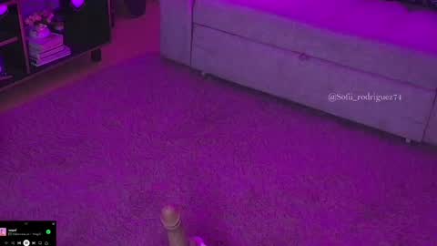 Snapshot of liaa_rodriguezz chatting on 02-19-25, 02:55 Liaa online show from 02-19-25, 02:55