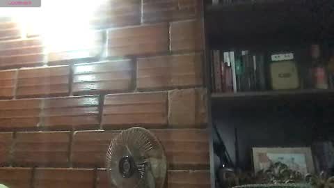 Amy online show from 03-07-26, 01:46