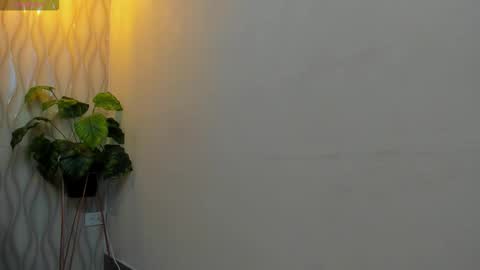 LIAM KLEIN online show from 02-12-26, 11:05