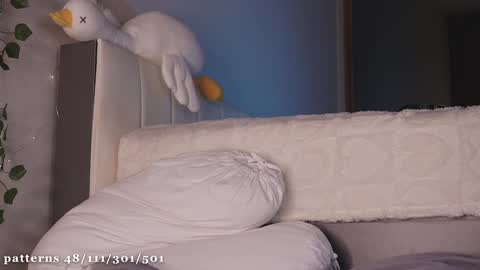 Molly  you can find Bunny here --  online show from 01-14-25, 04:50