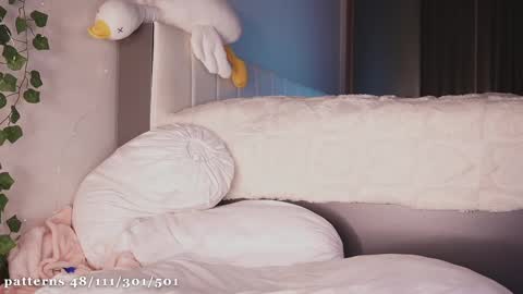 Molly  you can find Bunny here --  online show from 02-12-25, 08:07