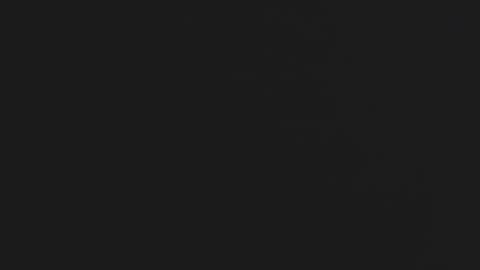 Daniel online show from 11-17-25, 06:14