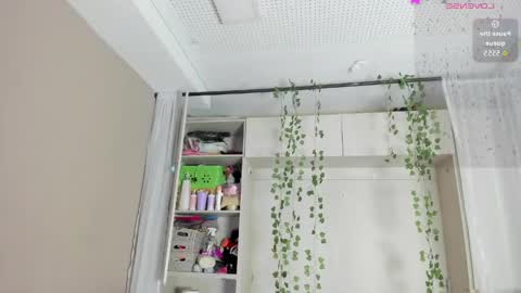         online show from 04-27-26, 11:41