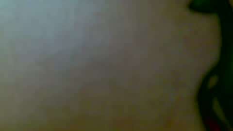 Snapshot of lilbratty_clouds_ogpuffdragon chatting on 10-31-25, 04:57 lilbratty_clouds_ogpuffdragon online show from 10-31-25, 04:57