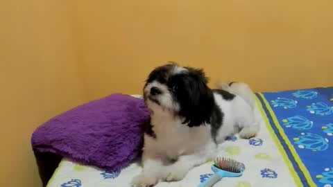 Lili online show from 03-07-26, 07:33