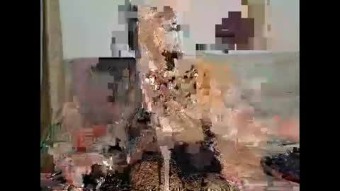 Ana online show from 10-20-25, 09:48