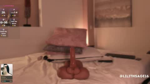 Snapshot of lilith_sage_ chatting on 01-15-26, 12:04 lilith_sage_ online show from 01-15-26, 12:04