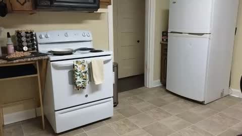 lilly_adams88 online show from 02-20-26, 02:52