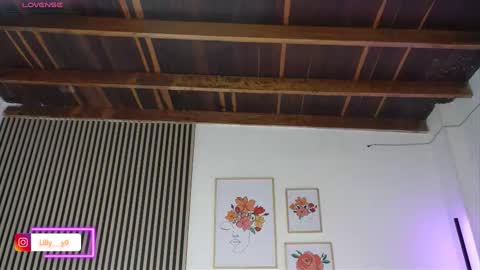 Sofia online show from 02-17-26, 01:07