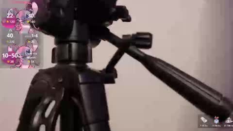 Snapshot of lily_beet chatting on 11-07-25, 03:50 Lily online show from 11-07-25, 03:50