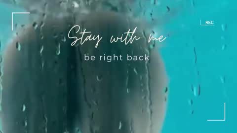 Lily online show from 12-19-25, 07:04