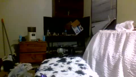 Snapshot of lincolnlongdick chatting on 12-30-24, 08:15 Richie Rich online show from 12-30-24, 08:15