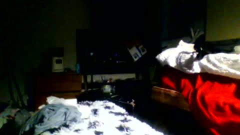 Snapshot of lincolnlongdick chatting on 12-30-24, 11:17 Richie Rich online show from 12-30-24, 11:17