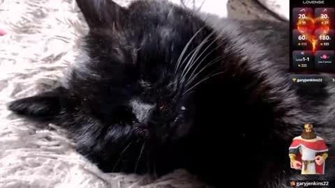 Lena online show from 04-24-26, 04:15