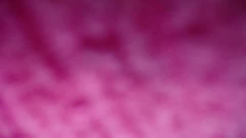 lindsey_2023 online show from 12-29-24, 09:20