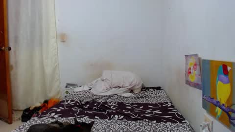 lion_grr online show from 12-16-25, 02:16