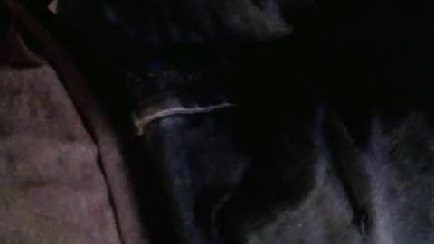 Single online show from 04-26-26, 09:23