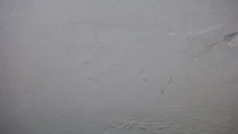 Snapshot of lisa_branch chatting on 11-23-25, 10:37 lisa_branch online show from 11-23-25, 10:37