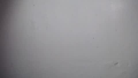 lisa_branch online show from 12-19-25, 11:06