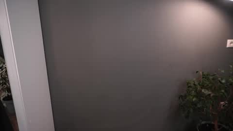 Elisabeth or Lisa online show from 11-26-25, 08:21