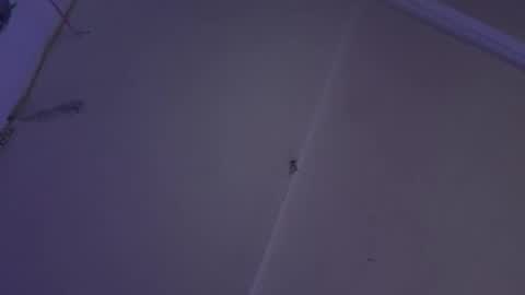 cristin online show from 12-25-24, 11:00