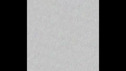Adaline online show from 10-20-25, 04:46