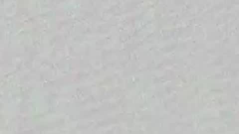 Adaline online show from 04-03-26, 07:50