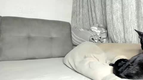 my Instagram  online show from 02-21-26, 06:09