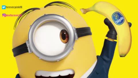 Pinky online show from 12-04-24, 09:07