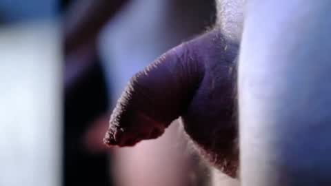 littlescrapper69 online show from 10-09-25, 03:04