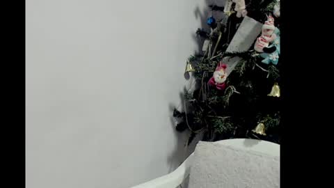 Snapshot of lizz1305 chatting on 12-26-24, 03:20 lizz1305 online show from 12-26-24, 03:20