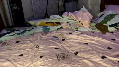 Snapshot of llevella chatting on 07-16-26, 05:08 Sevy online show from 07-16-26, 05:08