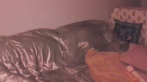 Snapshot of lolapeach222 chatting on 03-20-26, 12:26 Lola Peach xo online show from 03-20-26, 12:26