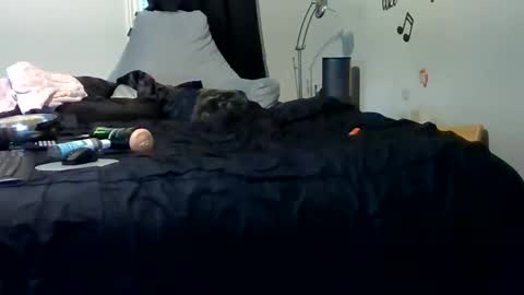 lonelydick2222 online show from 05-25-26, 01:28