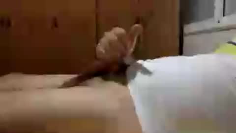 Snapshot of lonezane chatting on 07-30-26, 10:53 Handsome Cock online show from 07-30-26, 10:53