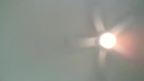 long1969dong online show from 02-21-25, 02:17