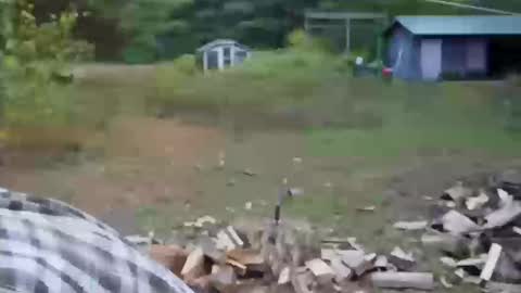 longtimerambler online show from 10-11-25, 09:02