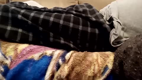 Snapshot of looking4bush chatting on 12-01-24, 07:36 looking4bush online show from 12-01-24, 07:36