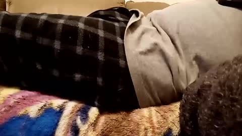 Snapshot of looking4bush chatting on 12-01-24, 10:43 looking4bush online show from 12-01-24, 10:43