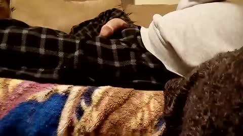 Snapshot of looking4bush chatting on 12-03-24, 07:21 looking4bush online show from 12-03-24, 07:21