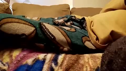 Snapshot of looking4bush chatting on 12-15-24, 08:04 looking4bush online show from 12-15-24, 08:04